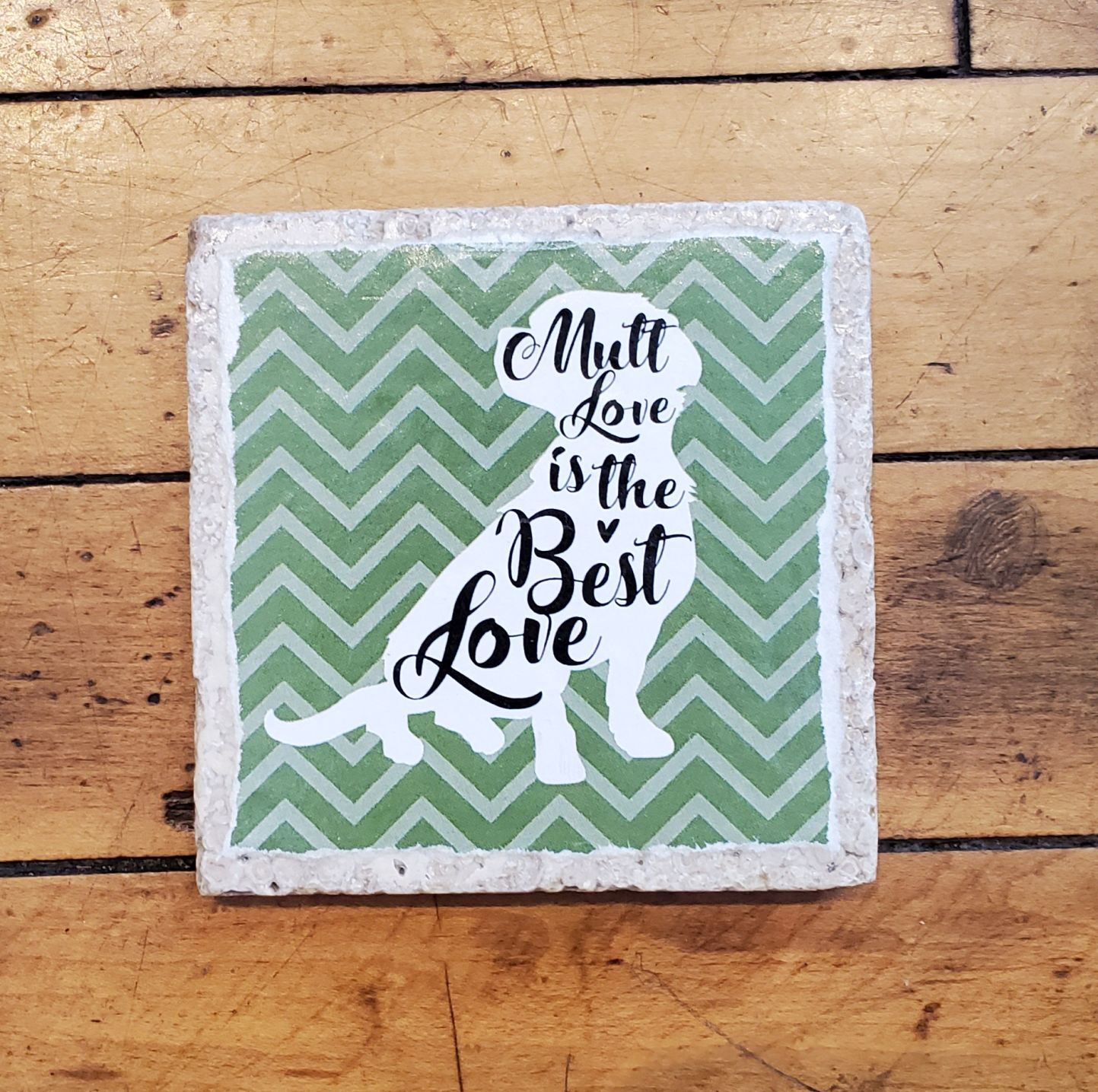 Dog coaster